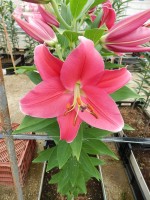 [5661 VZ W08 0194-01 No02.JPG]